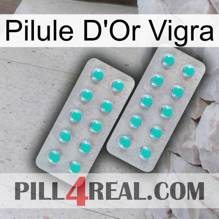 Vigra Gold Pill 29